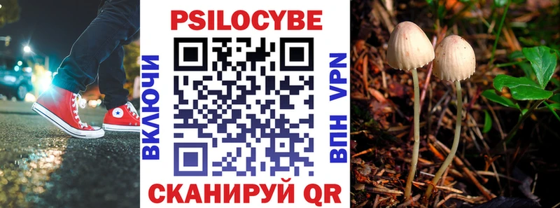 Псилоцибиновые грибы Cubensis  Купить где  Великие Луки 